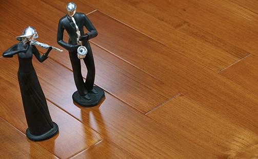 地?zé)?柚木.png 地?zé)?柚木.png