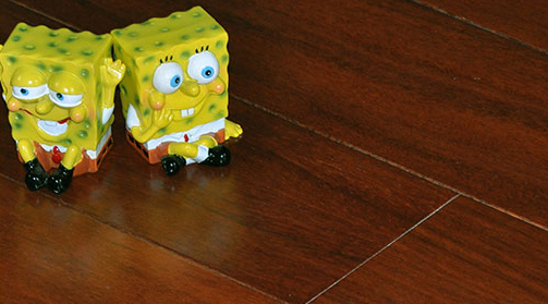 二翅豆1.png 二翅豆1.png