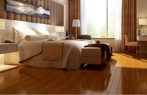 圓盤豆2 圓盤豆2