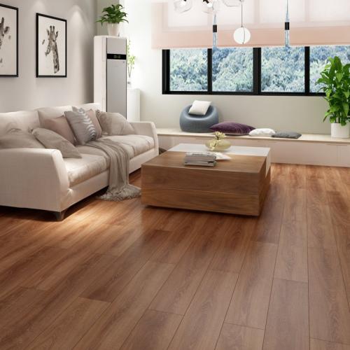 強(qiáng)化復(fù)合木地板1 強(qiáng)化復(fù)合木地板1