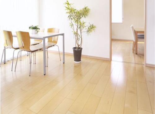 楓木地板1.jpg 楓木地板1.jpg