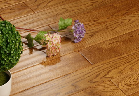 櫟木1.png 櫟木1.png