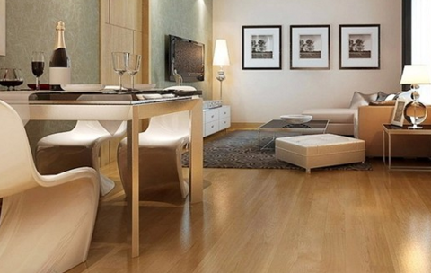 樺木1.png 樺木1.png