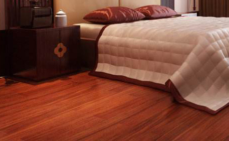 圓盤豆7.png 圓盤豆7.png