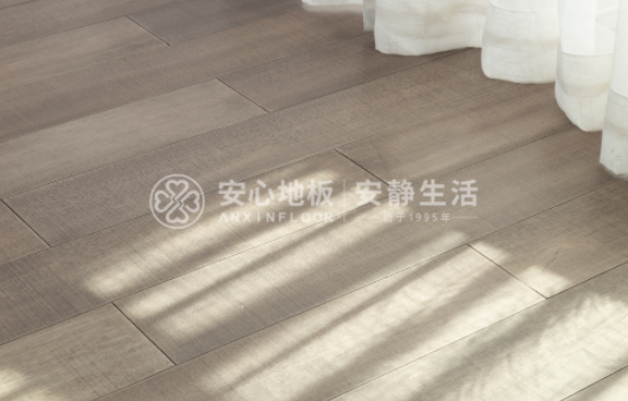 圓盤(pán)豆2.png 圓盤(pán)豆2.png