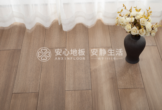 圓盤(pán)豆5.png 圓盤(pán)豆5.png